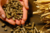 free Minting biomass boiler quotes